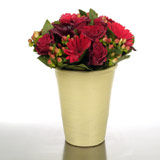 New Zealand Flower Arrangements New Zealand,:Vibrant Pot of Colour